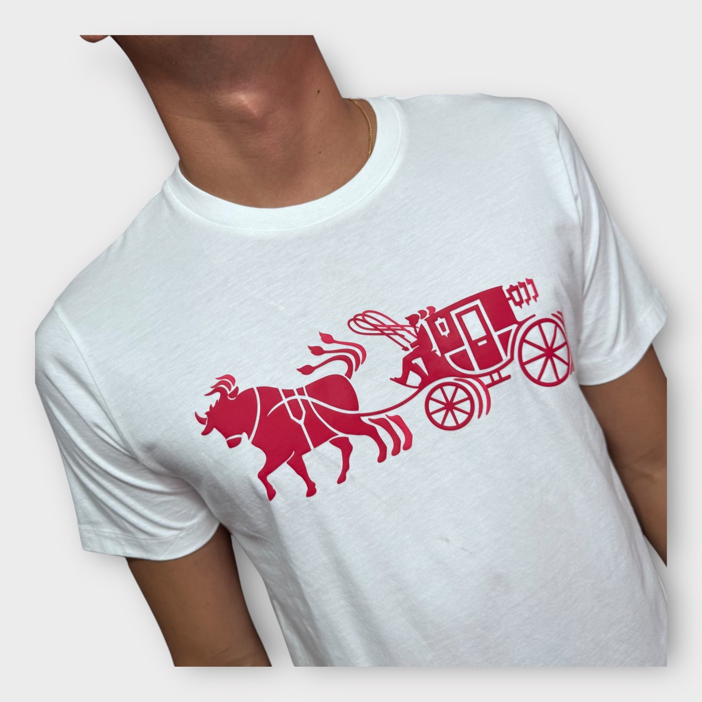 Camiseta Coach
